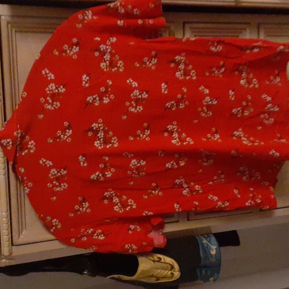 Red Blouse - Picture 4 of 4